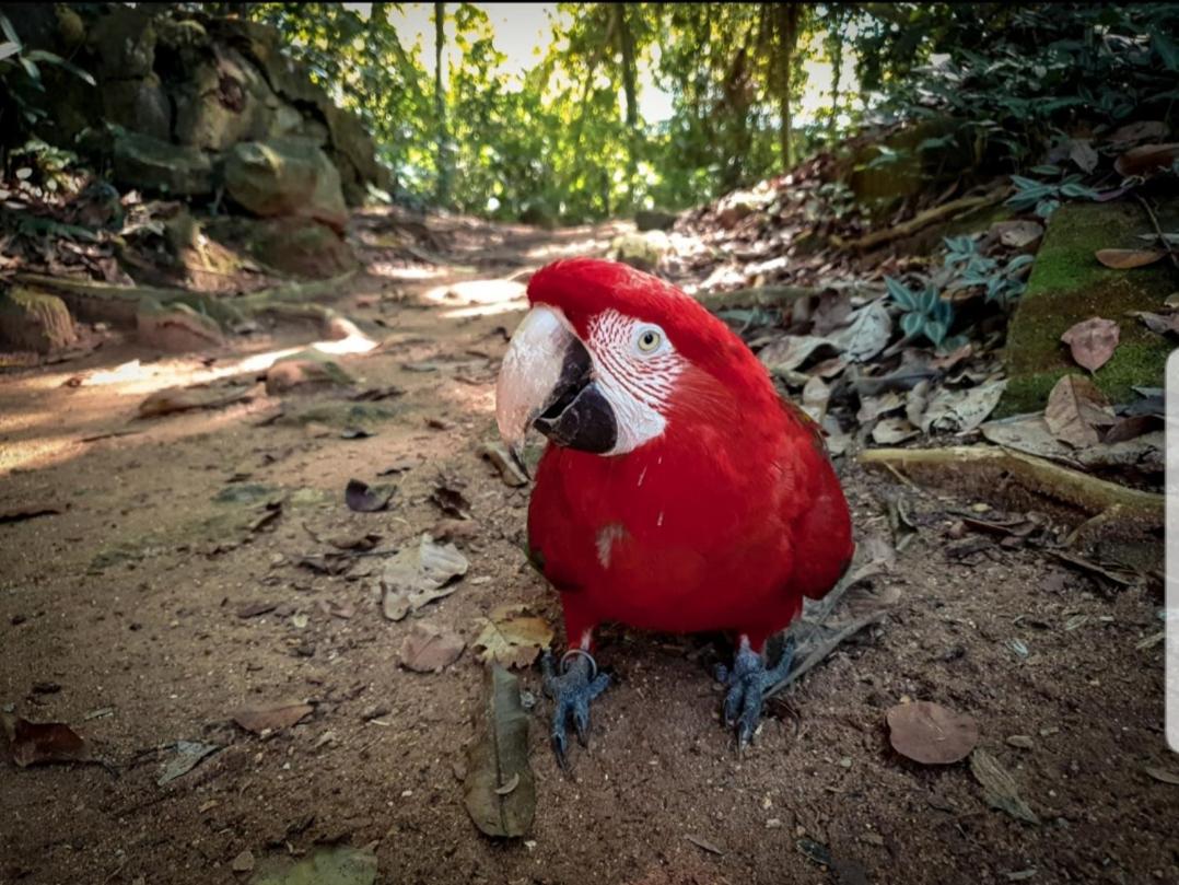 Recanto da gipoia Angra dos Reis Esterno foto