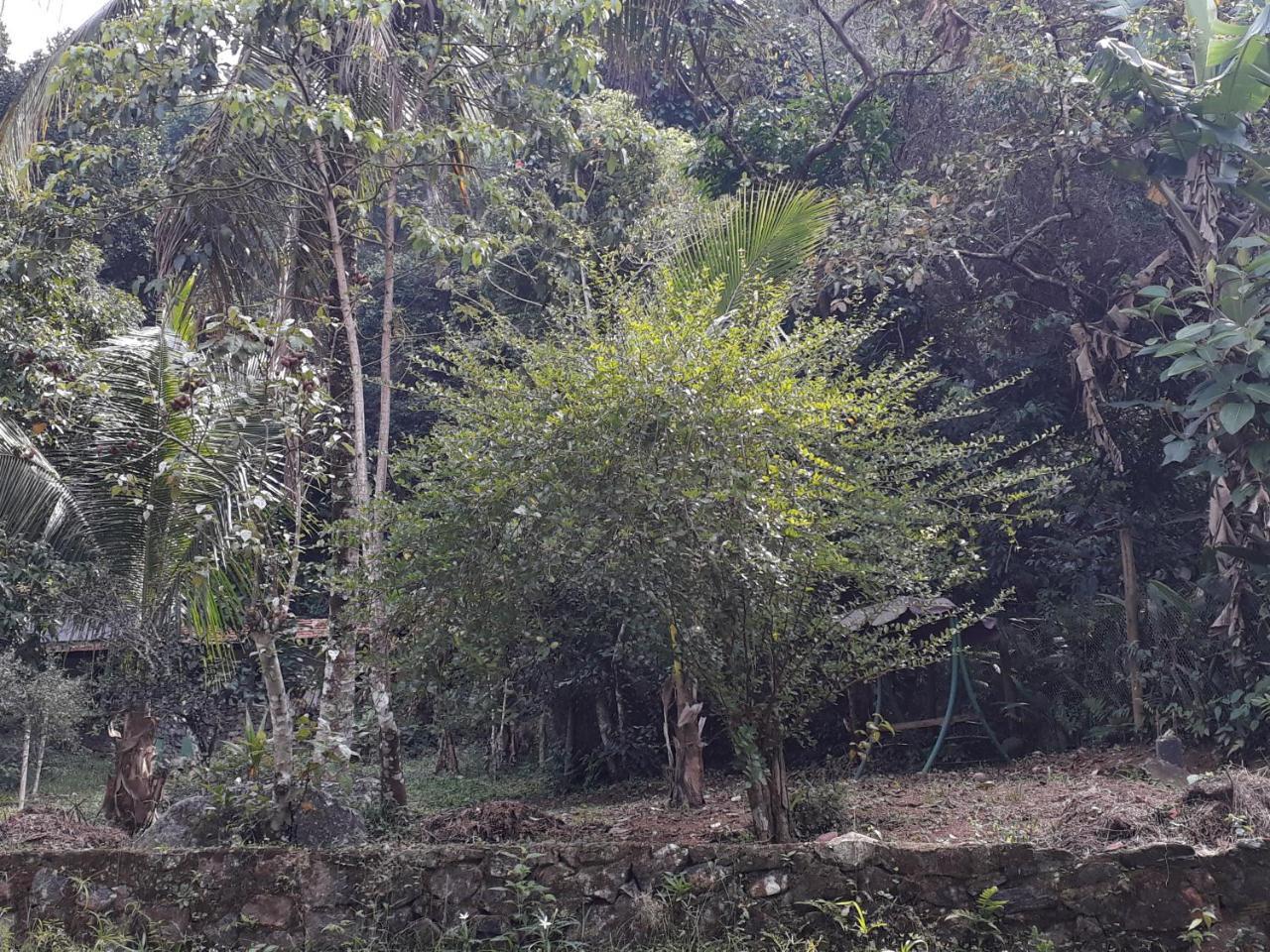 Recanto da gipoia Angra dos Reis Esterno foto